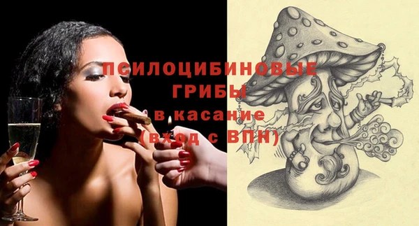дмт Алзамай