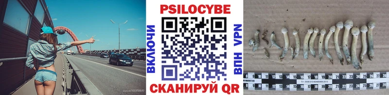 Галлюциногенные грибы Cubensis  купить наркотики цена  ОМГ ОМГ онион  Нефтегорск 